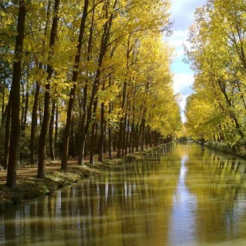 canal de castilla