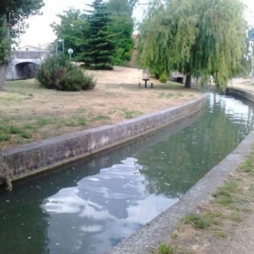 Canal de Castilla