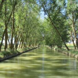 canal de castilla