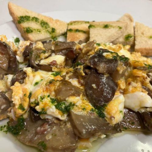 483452193 1039185394897814 2508265932642820903 n