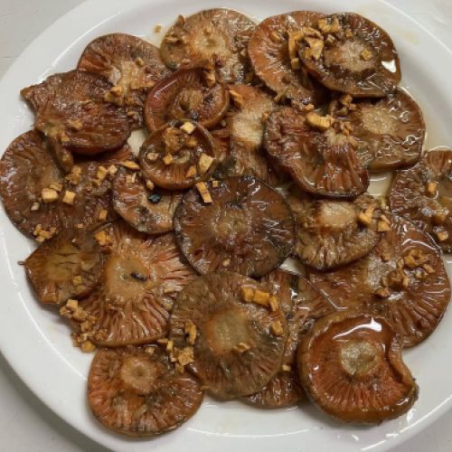 484513992 1039168314899522 6772842024381743088 n